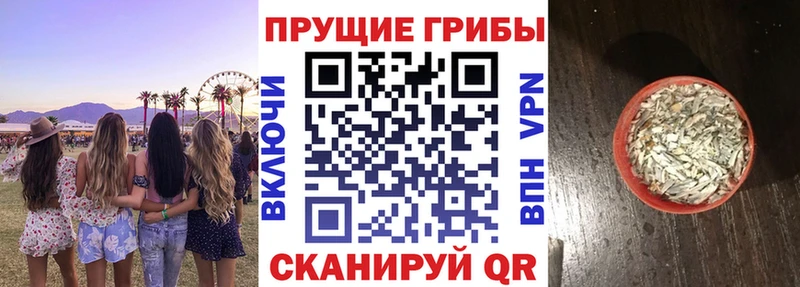 Галлюциногенные грибы Psilocybe купить наркотик MEGA ССЫЛКА Альметьевск