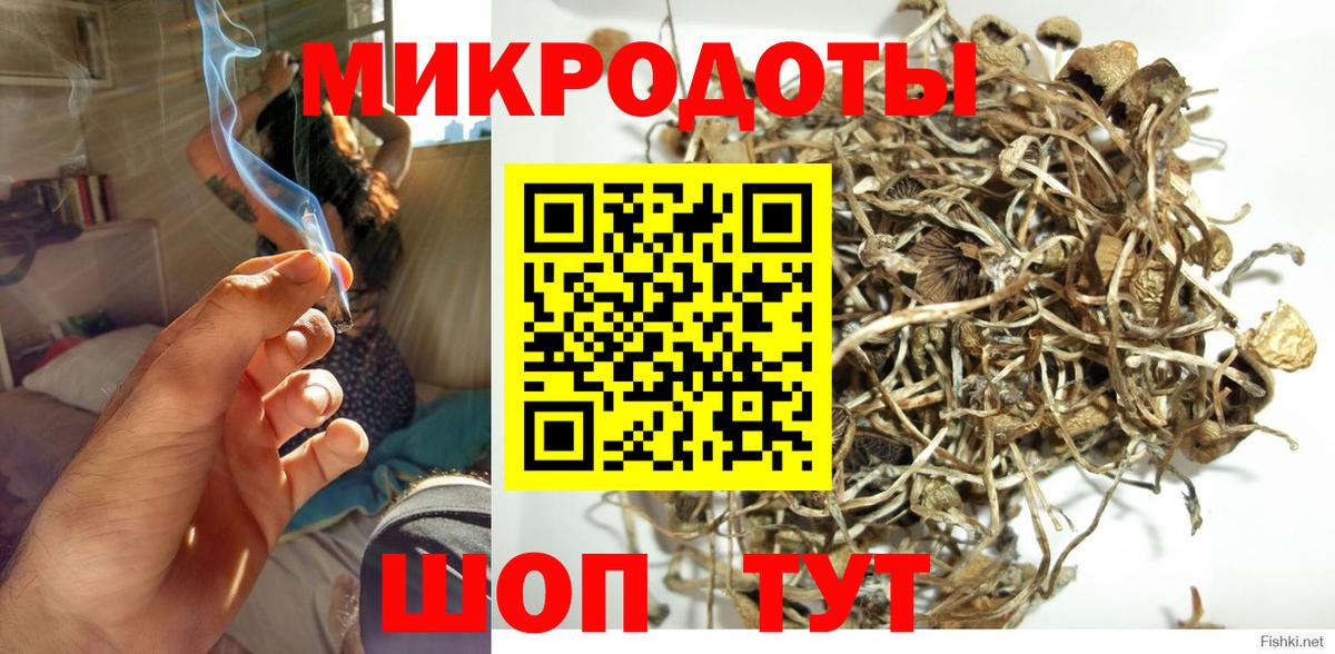 Галлюциногенные грибы MAGIC MUSHROOMS  Вход с VPN  Альметьевск 